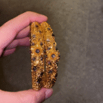 NJ-514 | Weight : 5 TOLA